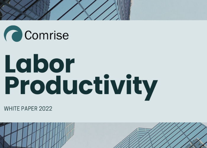 U.S. Labor Productivity White Paper featured image